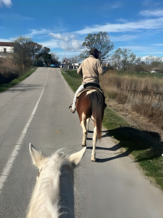 "Cheval en Camargue lors d'une balade La Cavale"