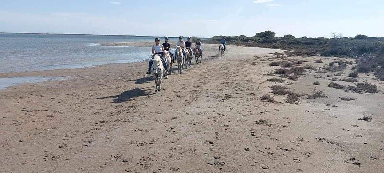 "Cheval en Camargue lors d'une balade La Cavale"