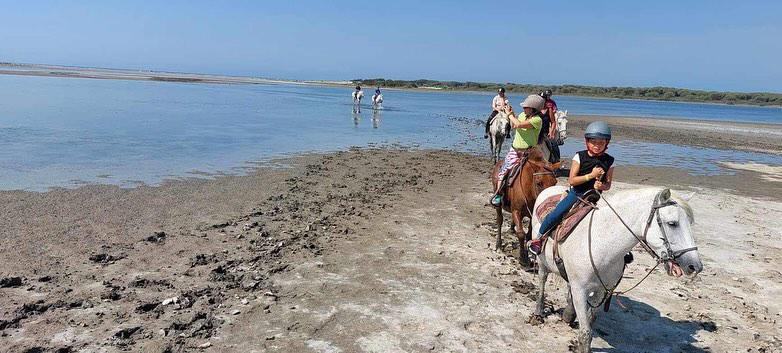 "Cheval en Camargue lors d'une balade La Cavale"