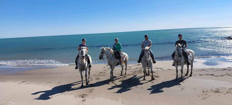 "Cheval en Camargue lors d'une balade La Cavale"