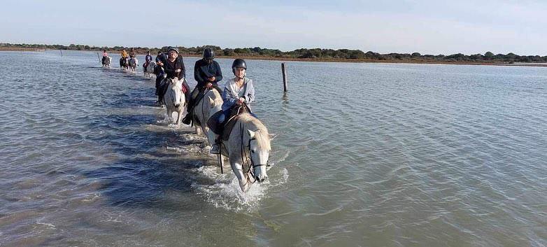 "Cheval en Camargue lors d'une balade La Cavale"