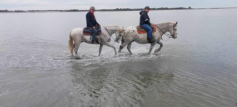"Cheval en Camargue lors d'une balade La Cavale"