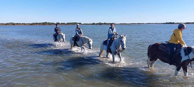 "Cheval en Camargue lors d'une balade La Cavale"