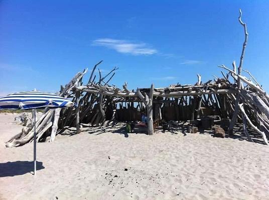 "Cheval en Camargue lors d'une balade La Cavale"