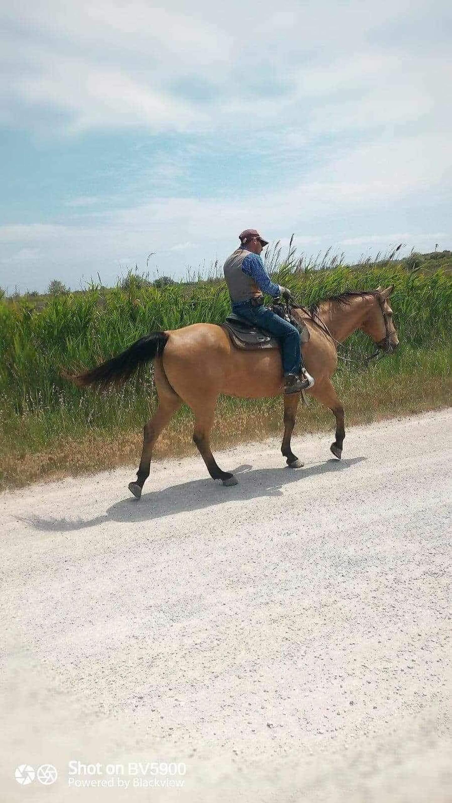 "Cheval en Camargue lors d'une balade La Cavale"