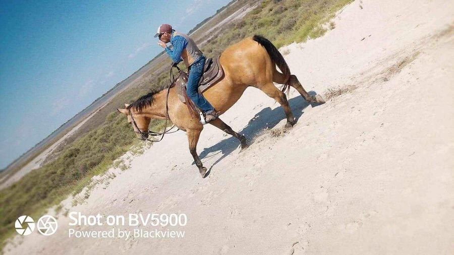 "Cheval en Camargue lors d'une balade La Cavale"