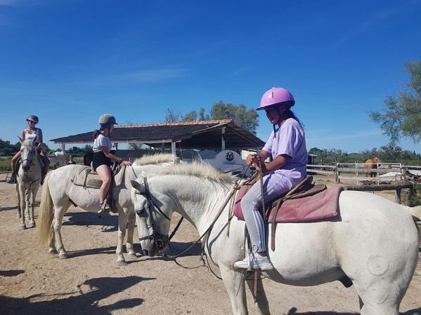 "Cheval en Camargue lors d'une balade La Cavale"