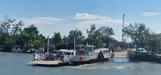 "Cheval en Camargue lors d'une balade La Cavale"