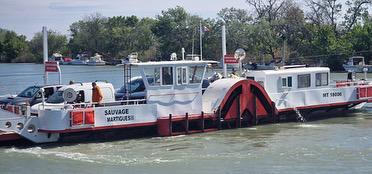 "Cheval en Camargue lors d'une balade La Cavale"