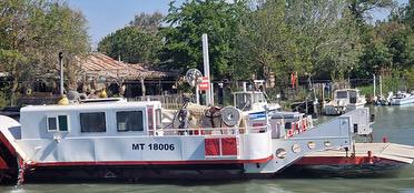 "Cheval en Camargue lors d'une balade La Cavale"