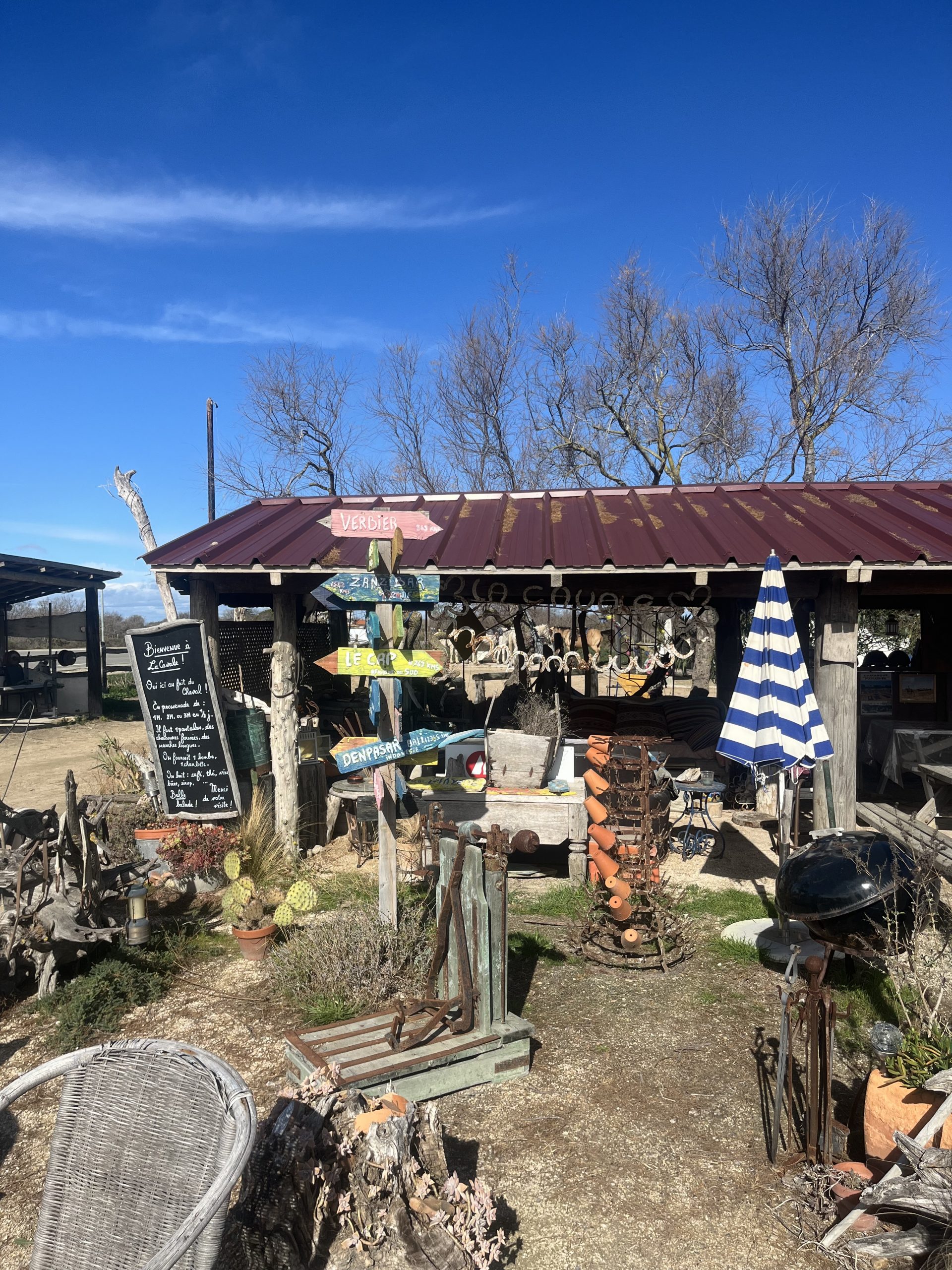 "Cheval en Camargue lors d'une balade La Cavale"