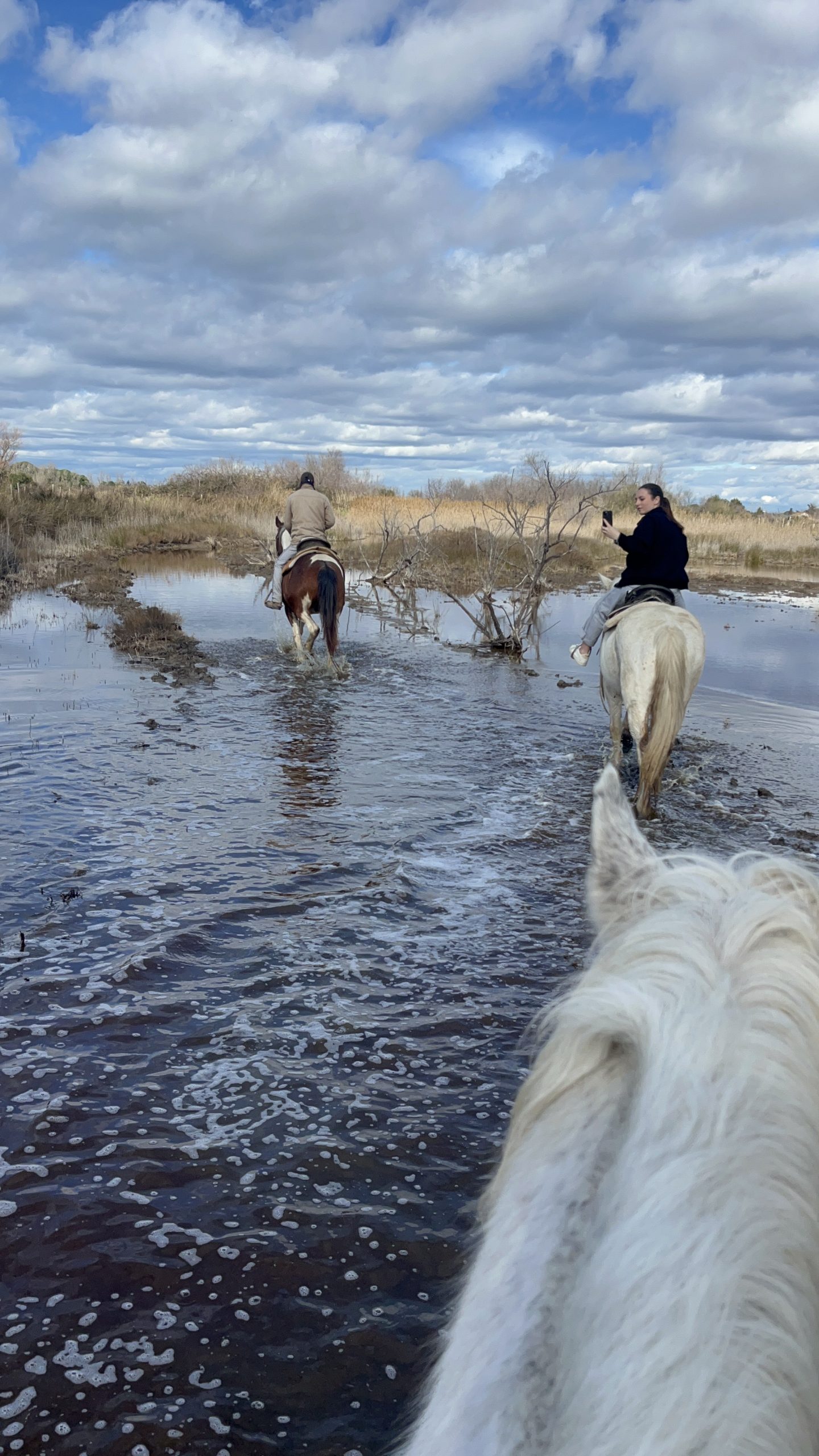 "Cheval en Camargue lors d'une balade La Cavale"