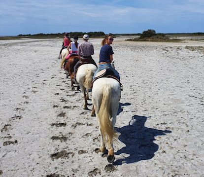 Balade à cheval plage Camargue Découverte-a-cheval-Saintes-Maries-de-la-Mer